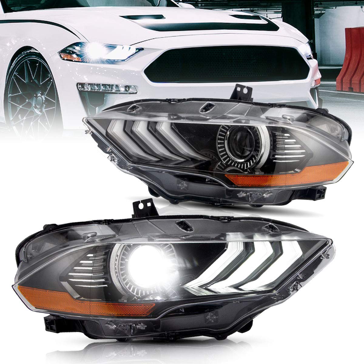 Tail light Assembly